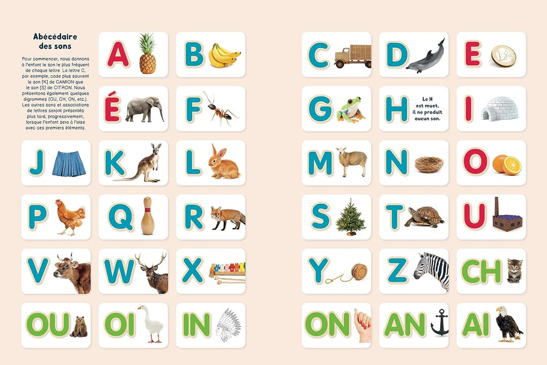 Je sais lire ! - Le cahier d'activités pour entrer dans la lecture dès la maternelle