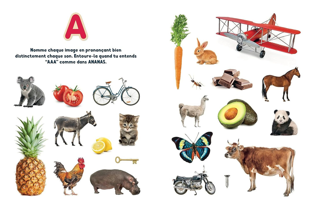 Je sais lire ! - Le cahier d'activités pour entrer dans la lecture dès la maternelle