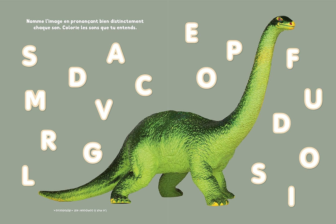 Je sais lire ! - Le cahier d'activités pour entrer dans la lecture dès la maternelle