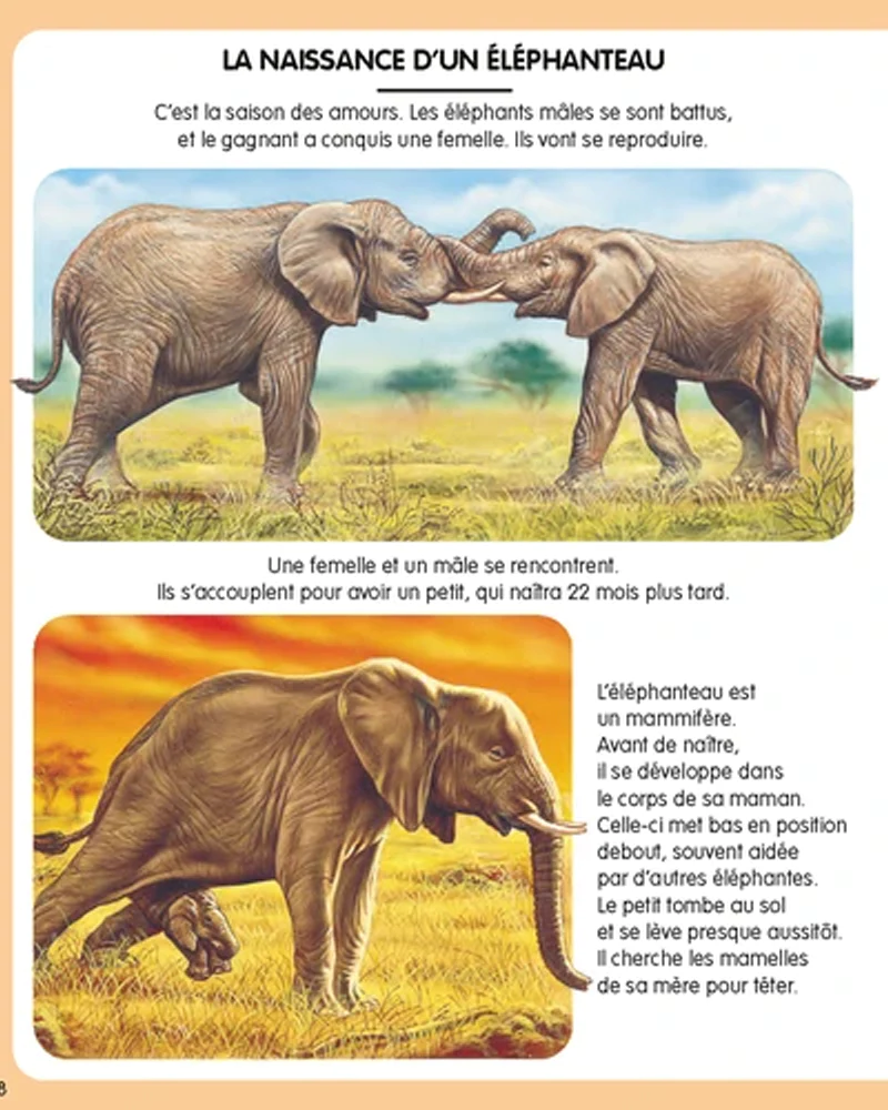 L’imagerie de la nature