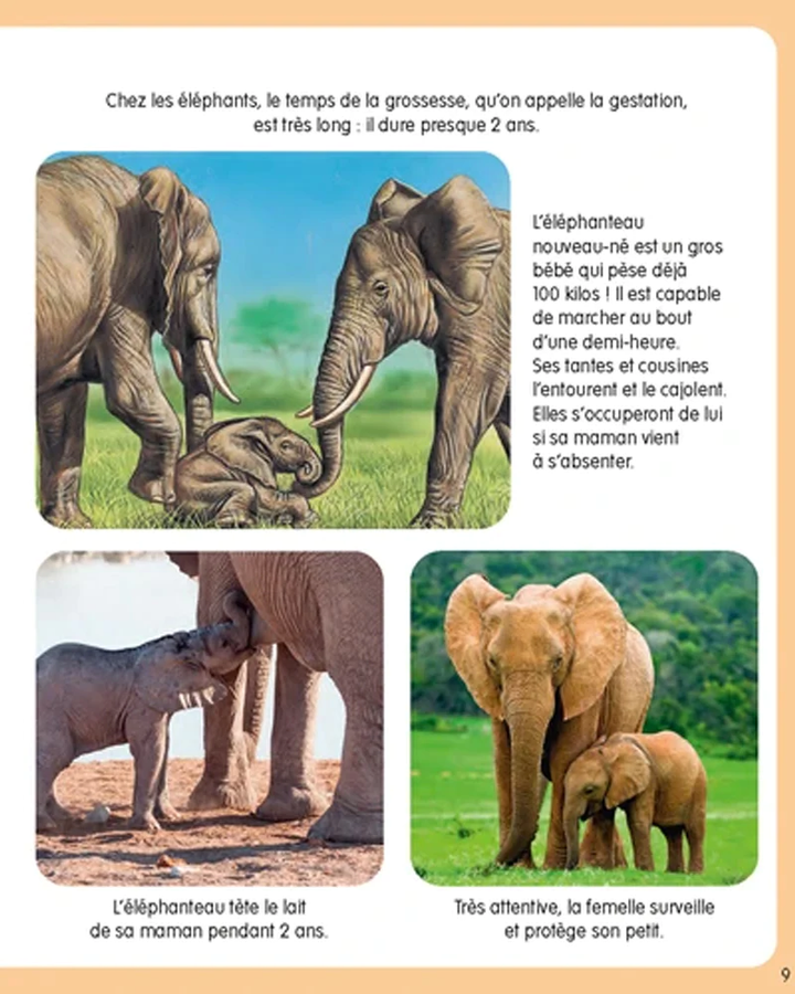 L’imagerie de la nature