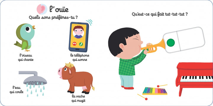 Mon Imagier des 5 sens - Livre animé Kididoc dès 1 an