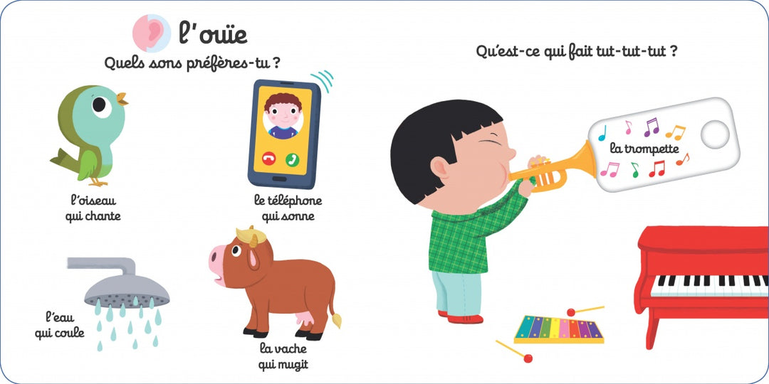 Mon Imagier des 5 sens - Livre animé Kididoc dès 1 an