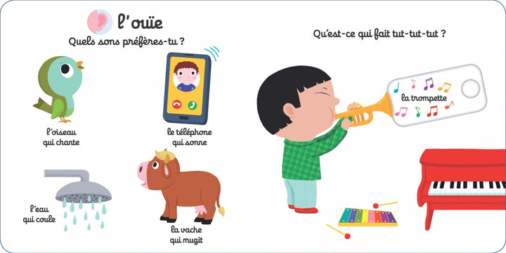 Mon Imagier des 5 sens - Livre animé Kididoc dès 1 an