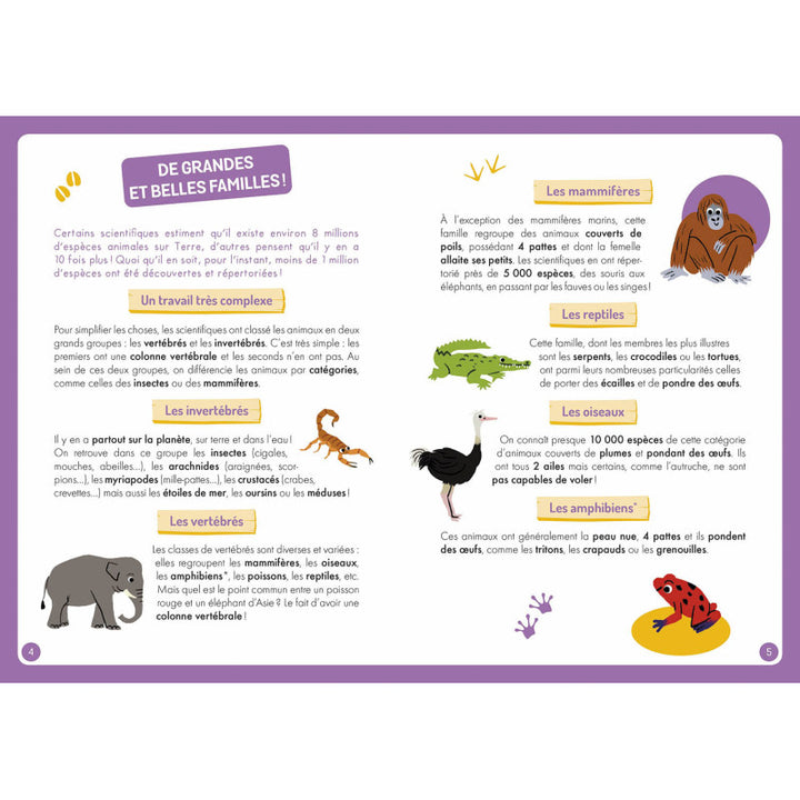 À la découverte des animaux du monde