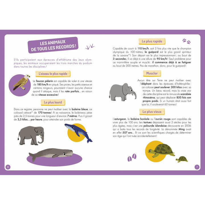 À la découverte des animaux du monde