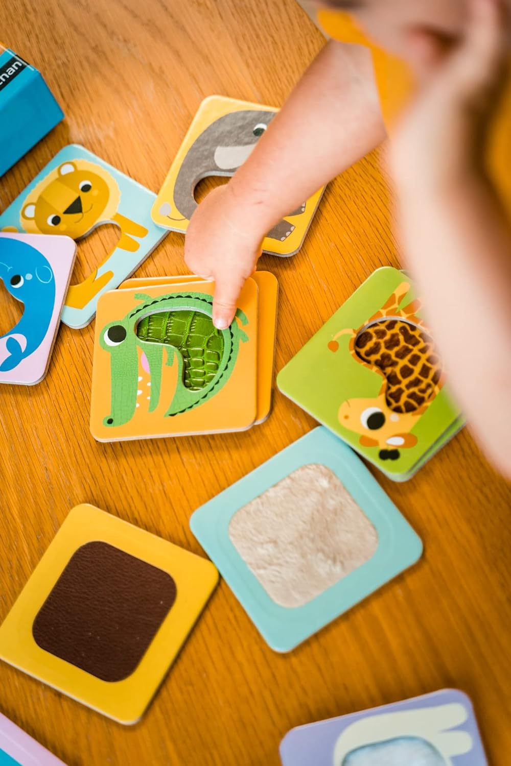 Les Animaux à Toucher