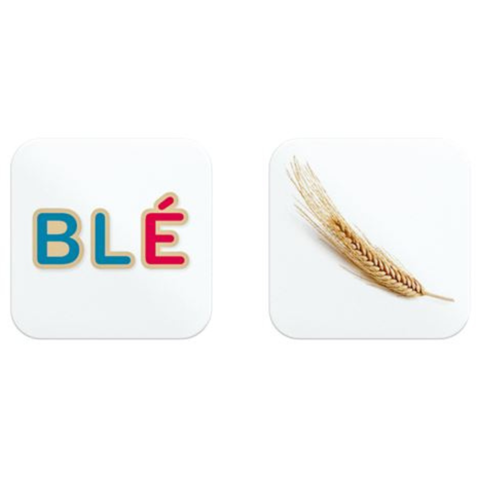 Boîte Memory des Mots - Céline Alvarez Les lectures Naturelles