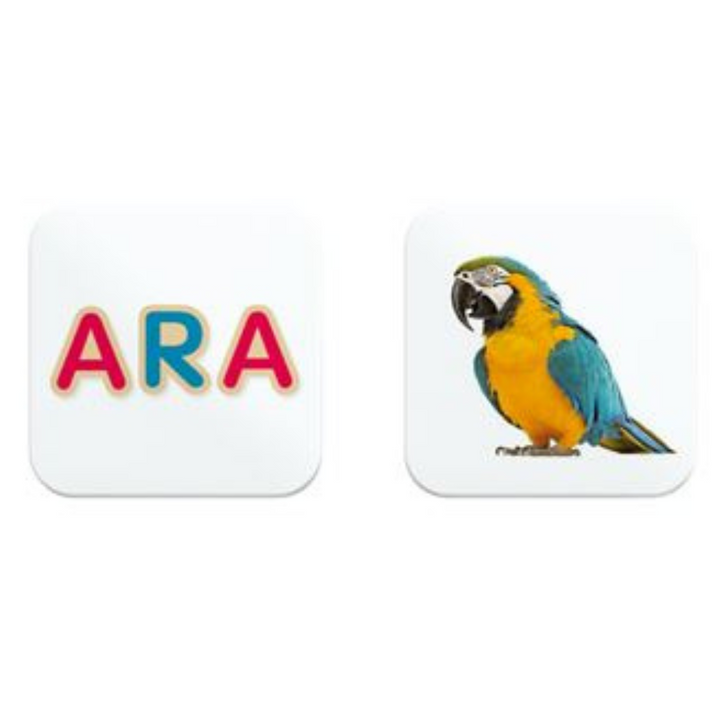 Boîte Memory des Mots - Céline Alvarez Les lectures Naturelles