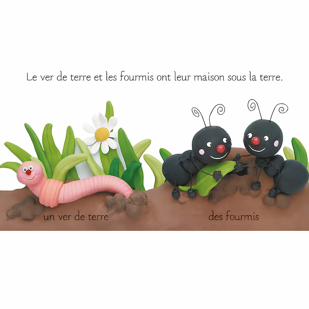 L’IMAGERIE DES BÉBÉS : Les Petites Bêtes| EVEIL MONTESSORI