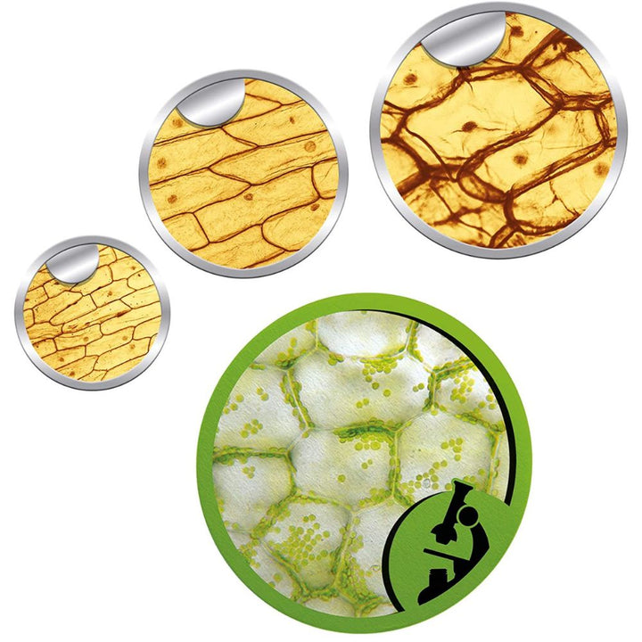 La science au microscope