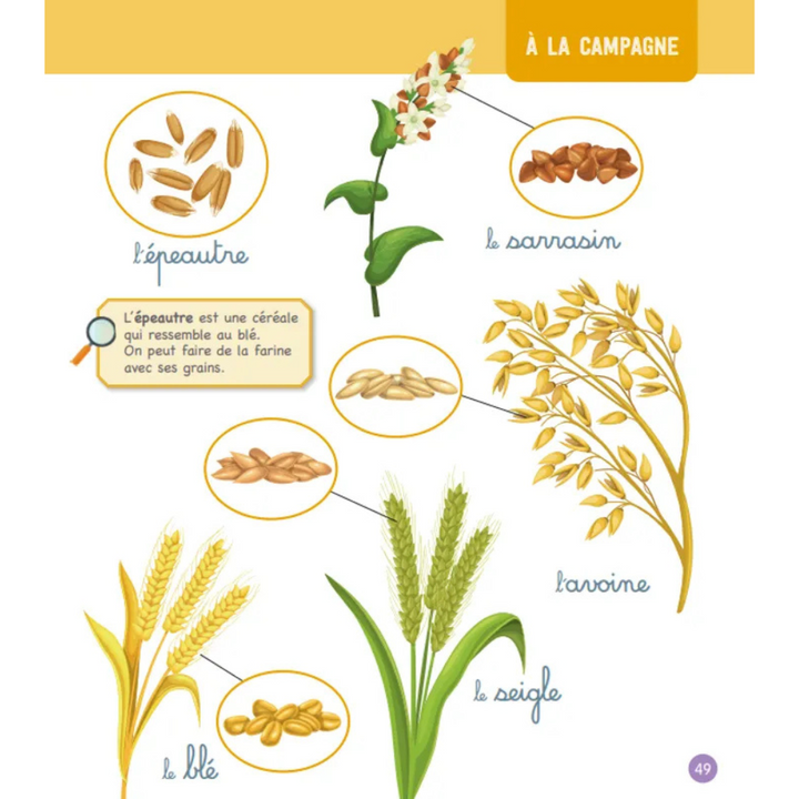 Le grand imagier Montessori de la nature et des animaux