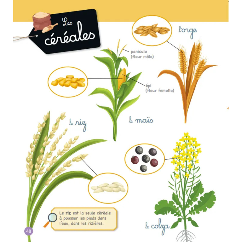 Le grand imagier Montessori de la nature et des animaux