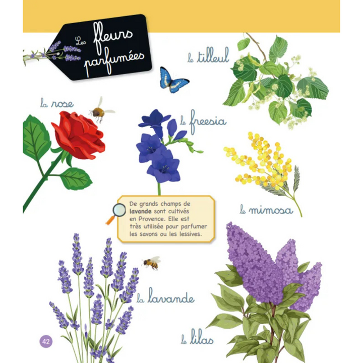 Le grand imagier Montessori de la nature et des animaux