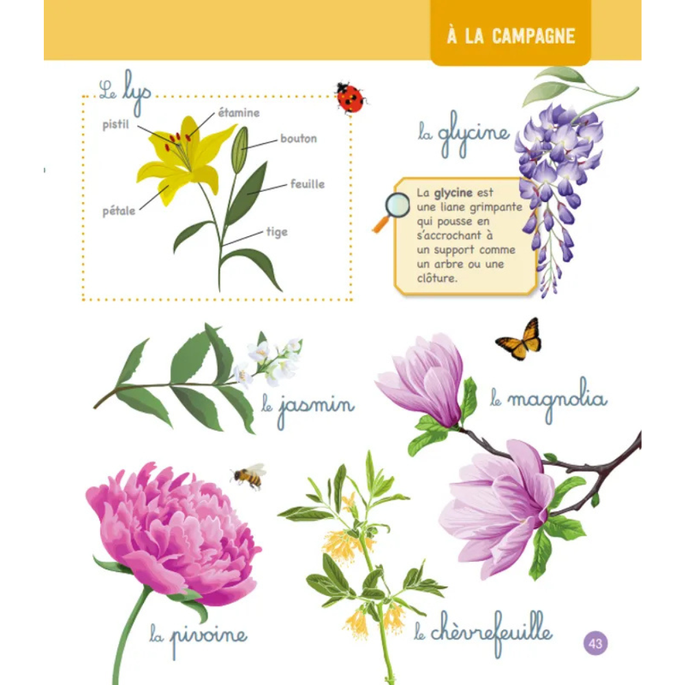 Le grand imagier Montessori de la nature et des animaux