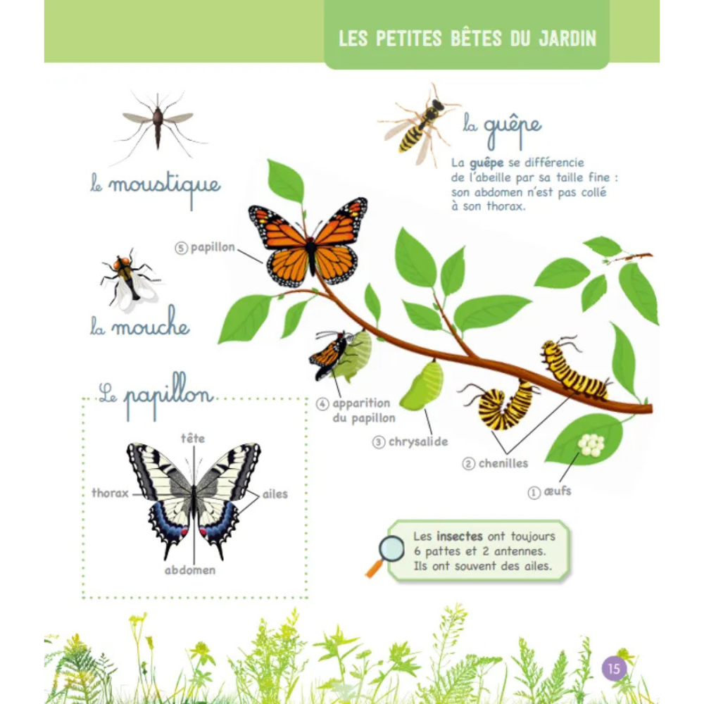 Le grand imagier Montessori de la nature et des animaux
