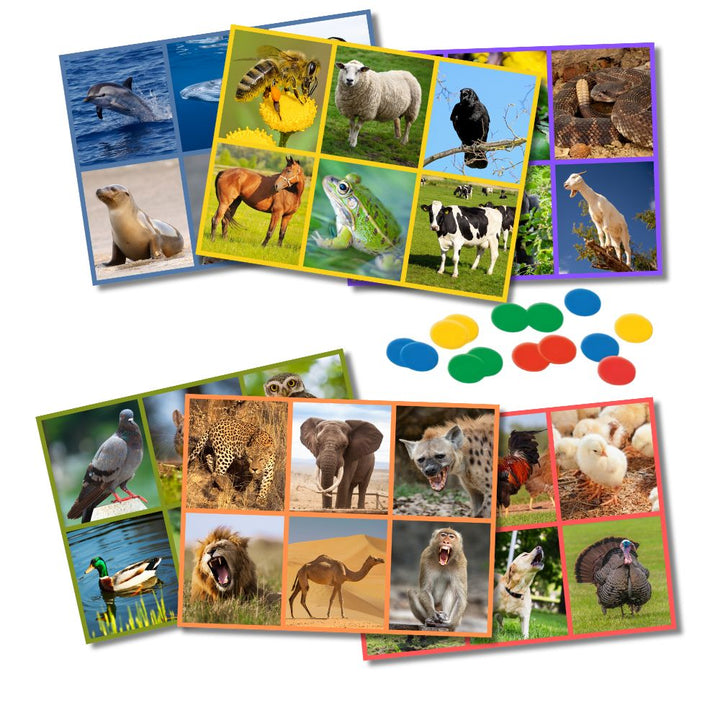 Le Loto Sonore des animaux