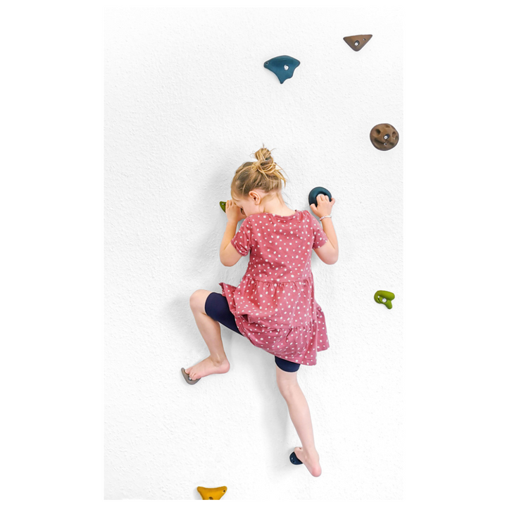 Pierres d'escalade "Adventure"