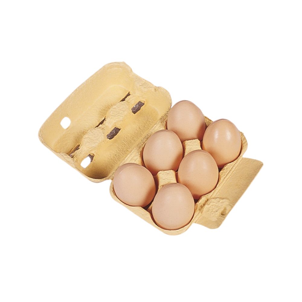 Boite de 6 œufs en plastique