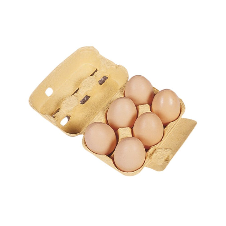Boite de 6 œufs en plastique