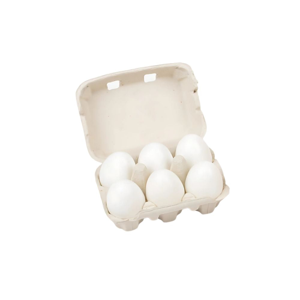 Boite de 6 œufs en plastique