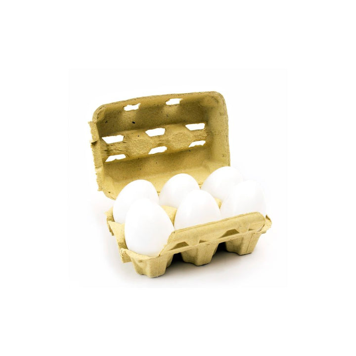 Boite de 6 œufs en plastique