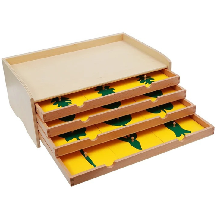 Cabinet de botanique (meuble de feuilles en bois)