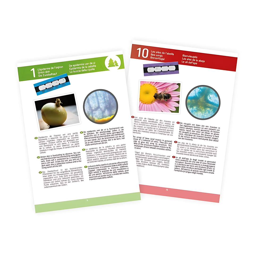 Microscope 15 experiments | eveil montessori