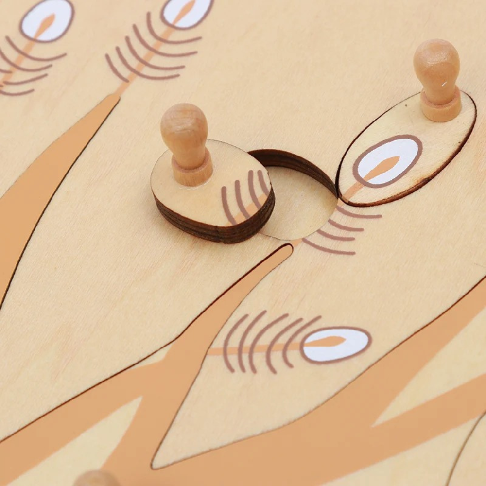 Puzzle de la racine - 2 - Eveil Montessori Maroc