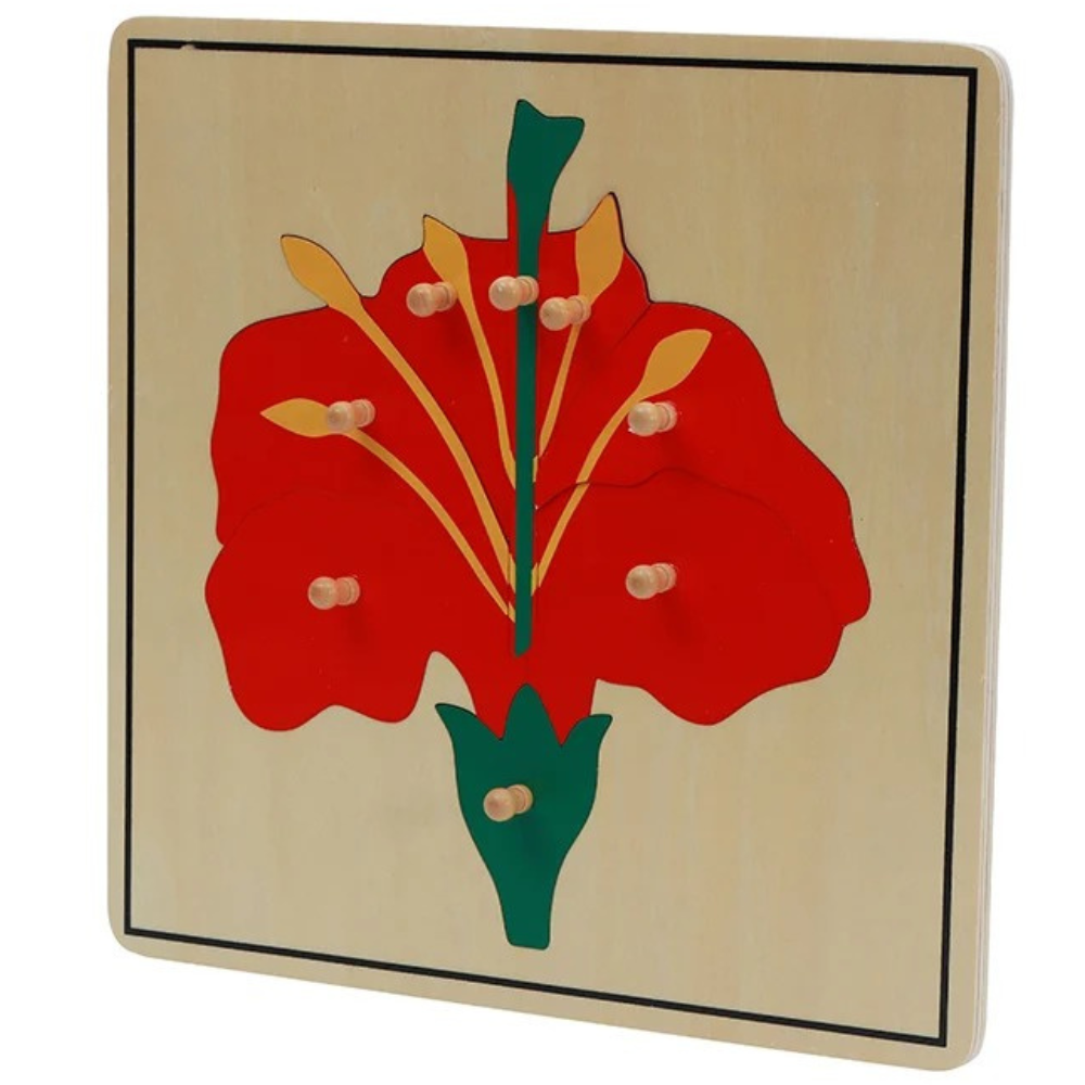 Puzzle de la fleur - 2 - Eveil Montessori Maroc