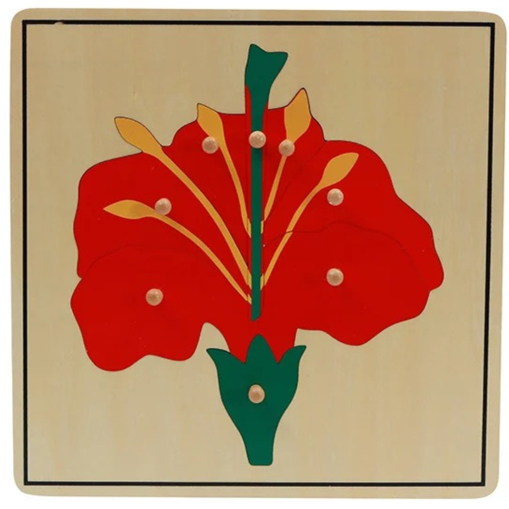 Puzzle de la fleur - 1 - Eveil Montessori Maroc