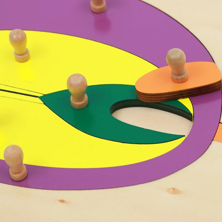 Puzzle de la graine