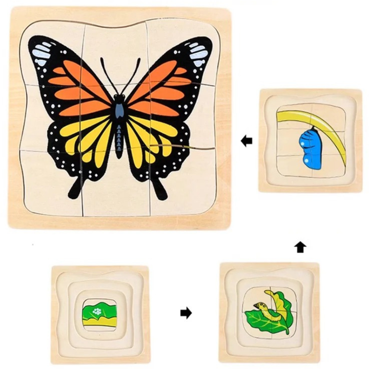 Puzzle cycle de vie du papillon