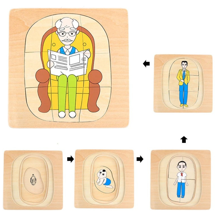 Puzzle cycle de vie de l'homme - 1 - Eveil Montessori Maroc