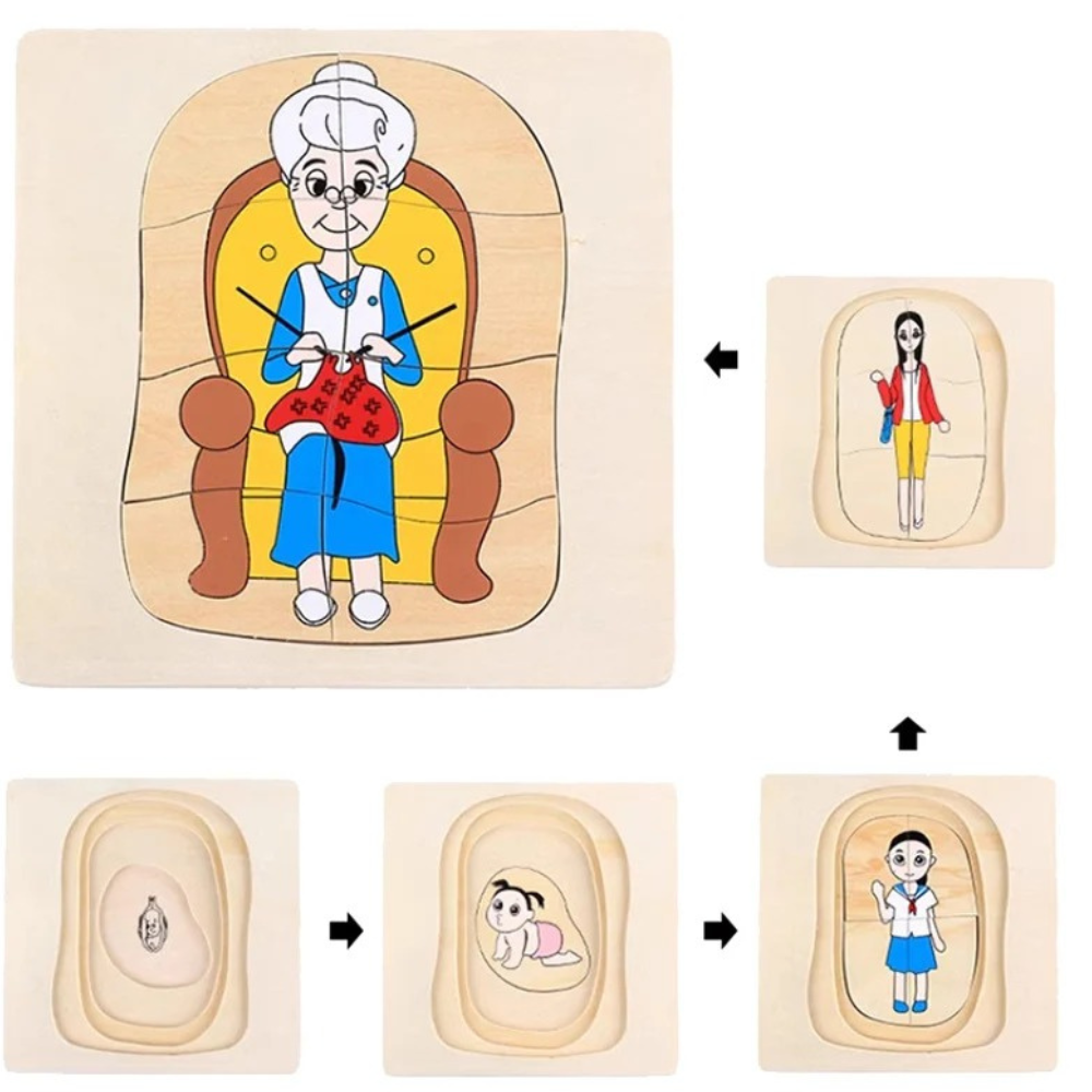 Puzzle cycle de vie de la femme - 1 - Eveil Montessori Maroc