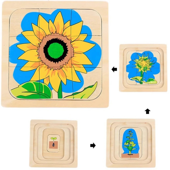 Puzzle cycle de vie de la fleur - 1 - Eveil Montessori Maroc