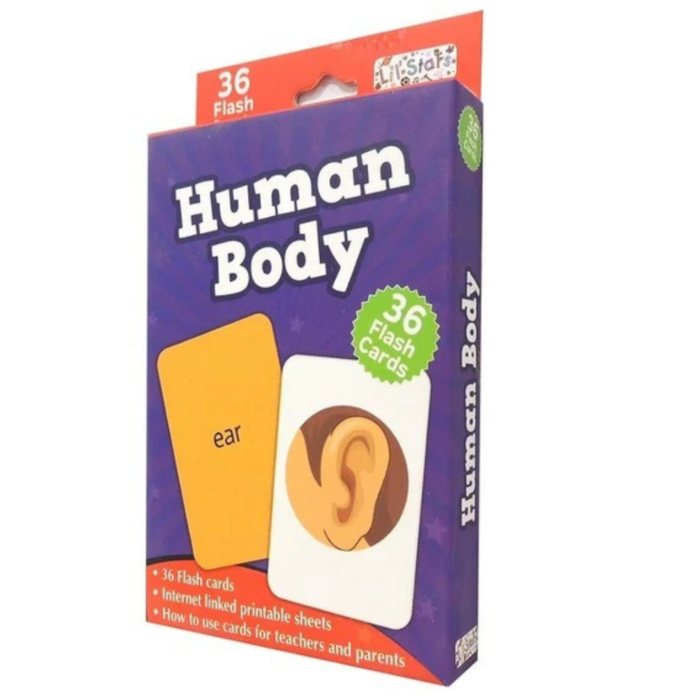 Human body - flash cards