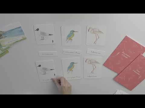 Mon Coffret Montessori des Oiseaux - Dès 3 ans