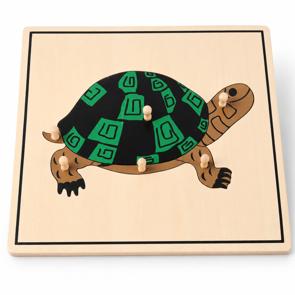 Puzzle de la tortue - 1 - Eveil Montessori Maroc