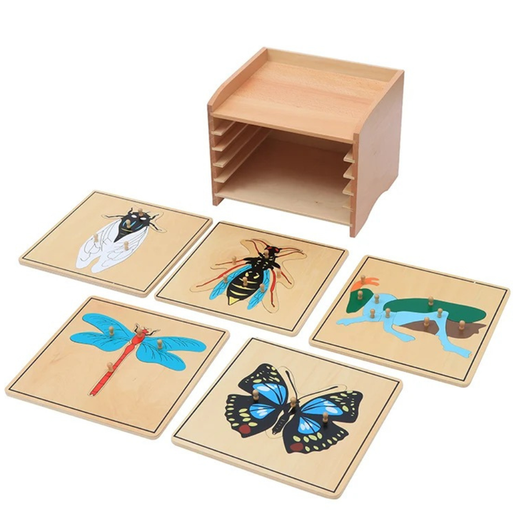 Cabinet + 5 puzzles insectes