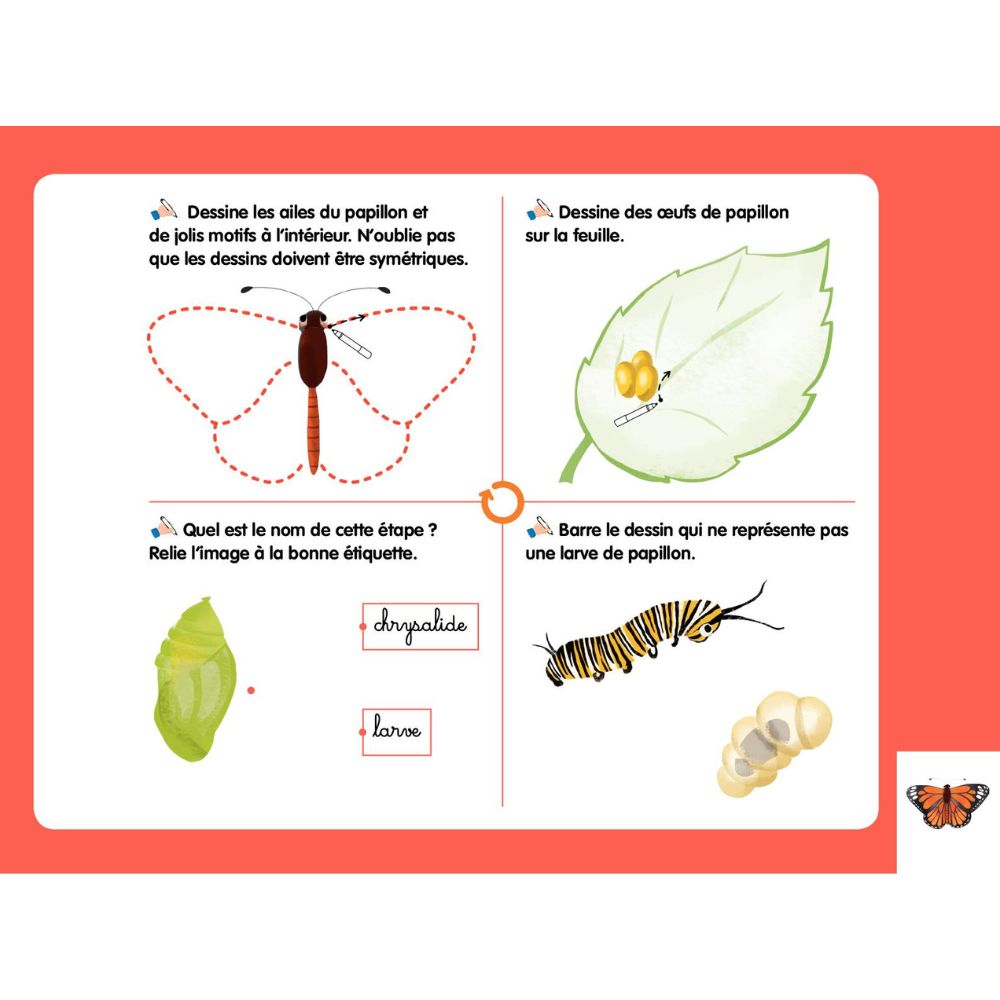 Les livres-ardoises - Les Cycles de vie Montessori - Eveil Montessori Maroc