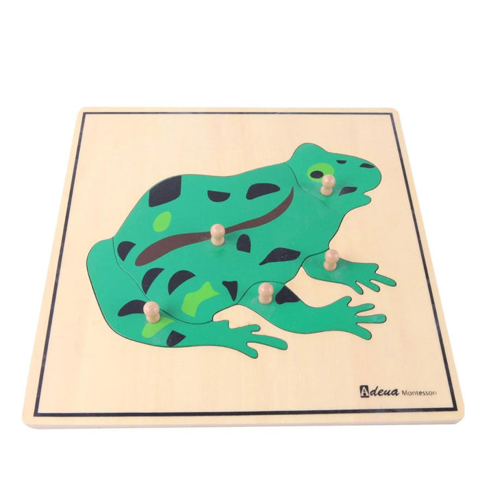 Puzzle Grenouille - Eveil Montessori Maroc