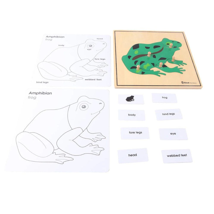 Puzzle Grenouille - Eveil Montessori Maroc