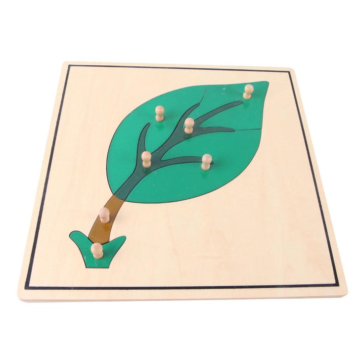 3 Puzzles de botanique : arbre, feuille, fleur - Eveil Montessori Maroc