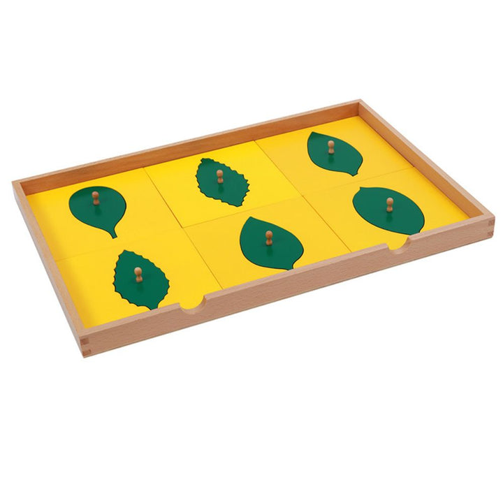 Cabinet de botanique (meuble de feuilles en bois) - Eveil Montessori Maroc