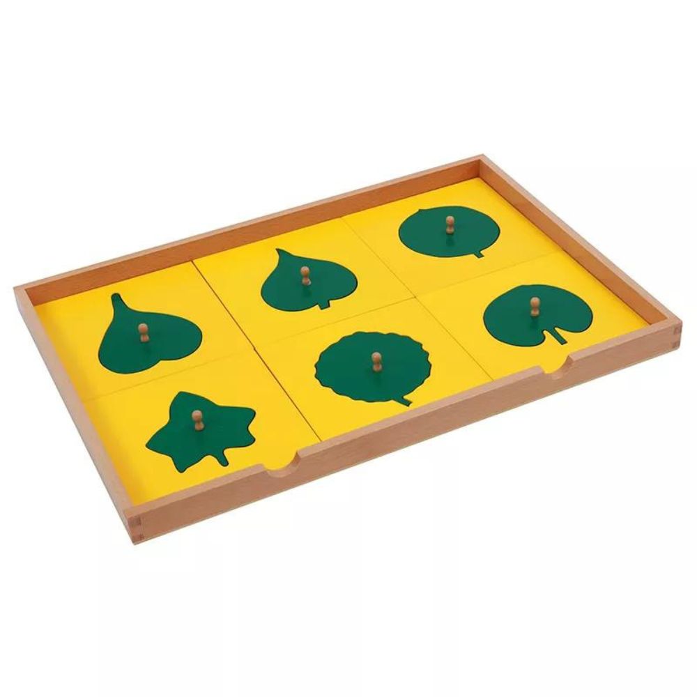Cabinet de botanique (meuble de feuilles en bois) - Eveil Montessori Maroc