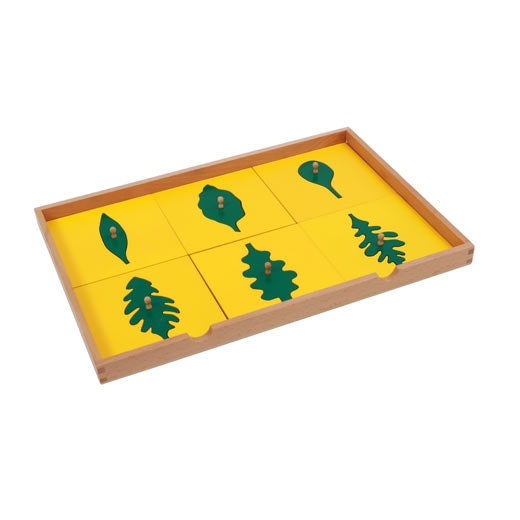 Cabinet de botanique (meuble de feuilles en bois) - Eveil Montessori Maroc