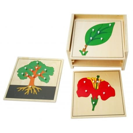 3 Puzzles de botanique : arbre, feuille, fleur - Eveil Montessori Maroc