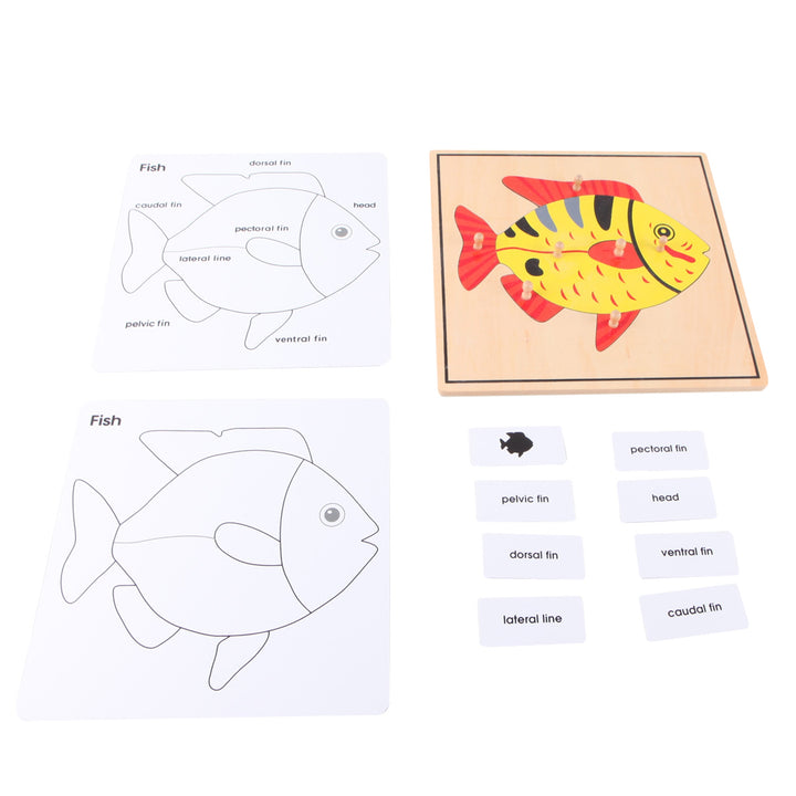 Puzzle Poisson - Eveil Montessori Maroc