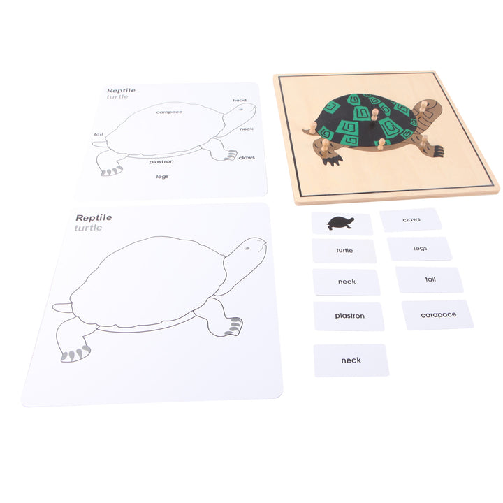Puzzle de la tortue - Eveil Montessori Maroc